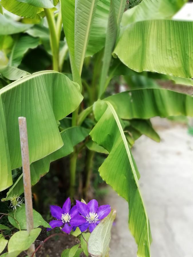 南海滩别墅 辛尼莫雷特 外观 照片