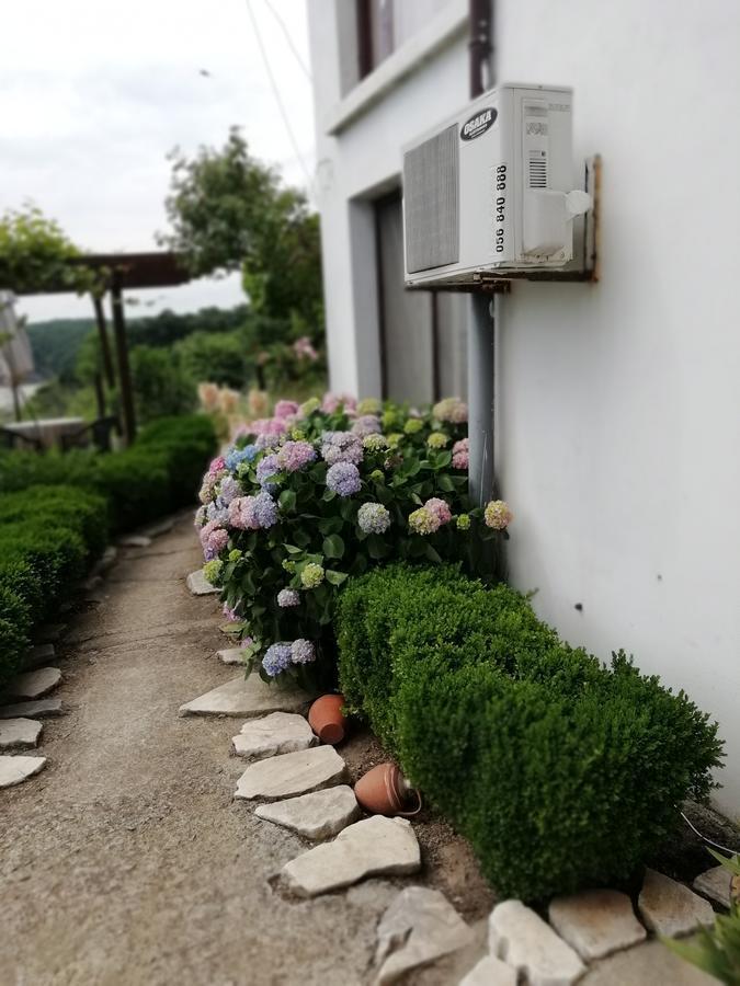 南海滩别墅 辛尼莫雷特 外观 照片